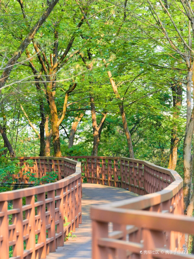 衢州莲花."青蛙王子"的花样农庄