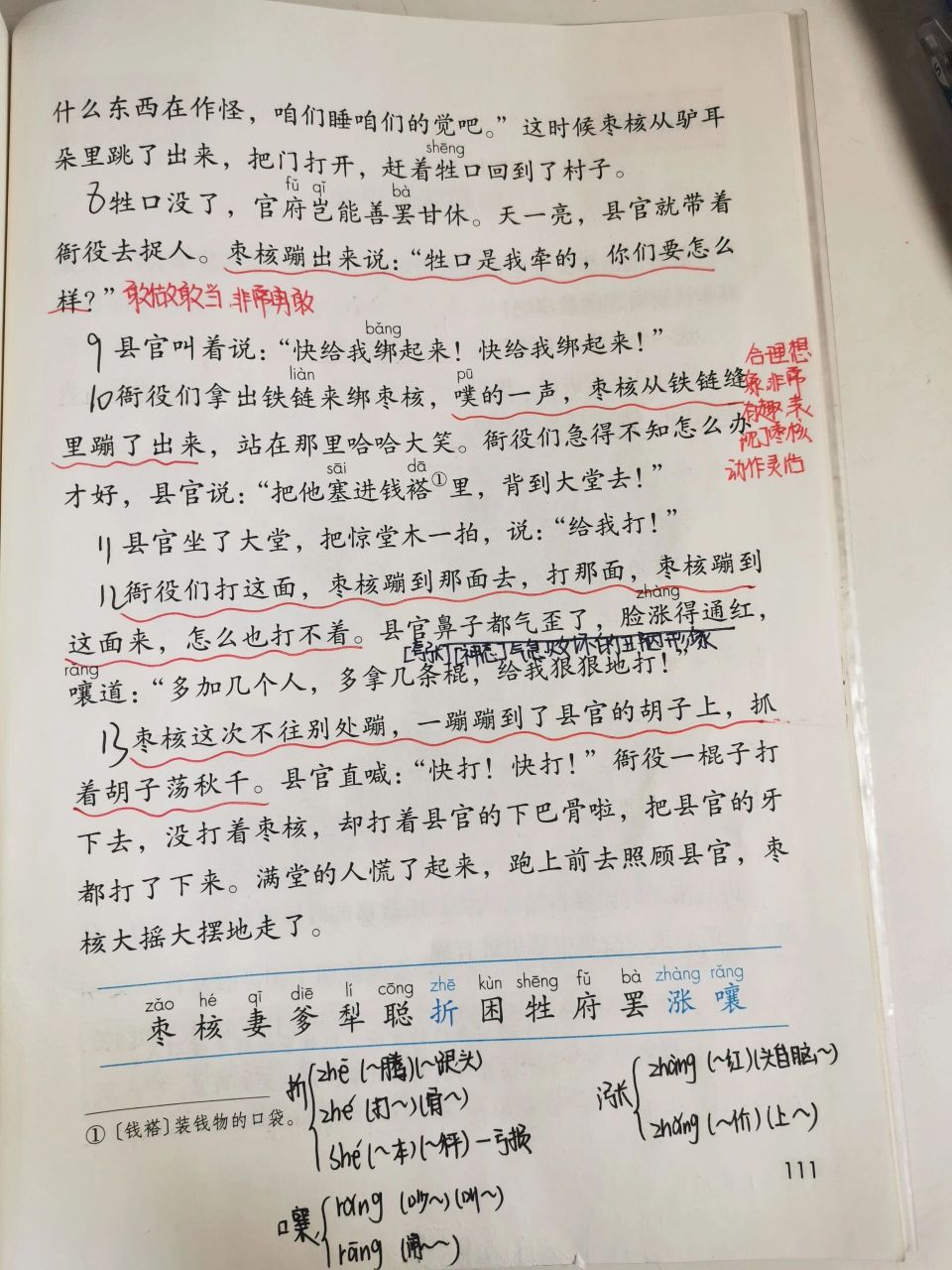 三下语文笔记92|28.枣核