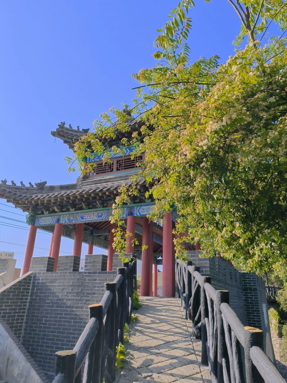 临沂罗庄区罗庄公园 动物园 参加师弟婚礼,顺便游了一下临沂!