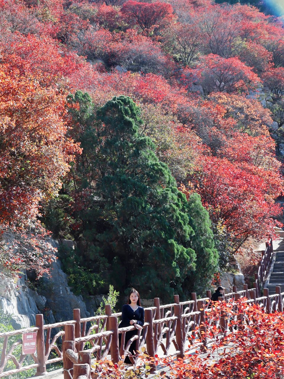 临朐红叶谷风景区门票图片