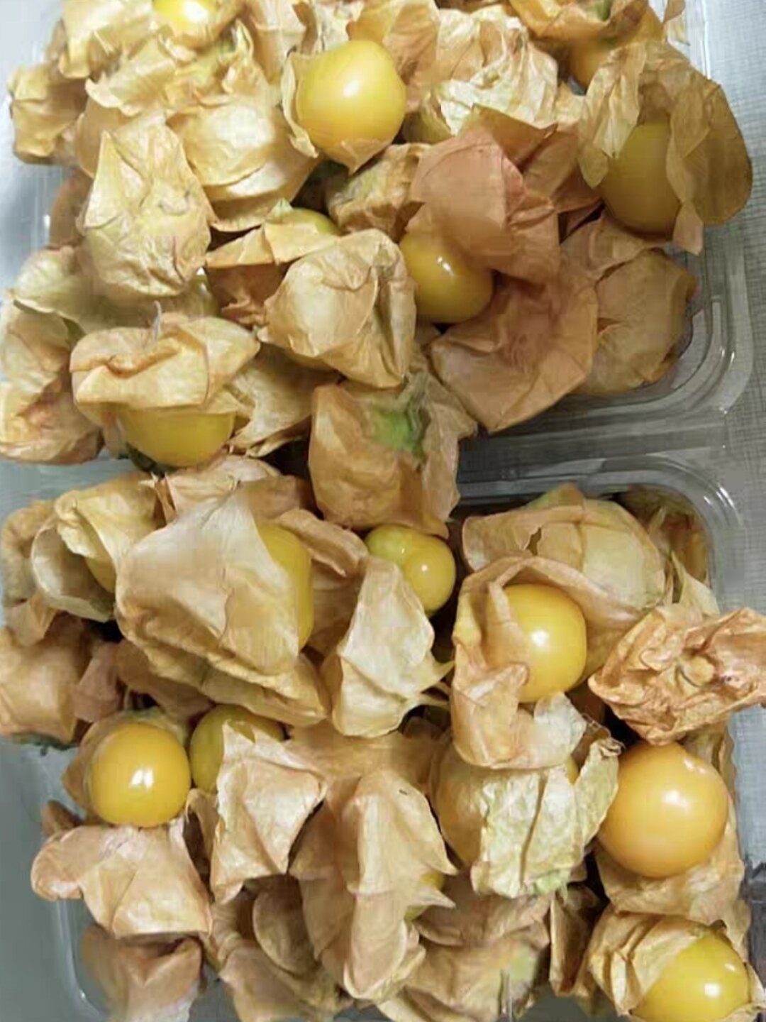 姑娘果也是绝绝子!