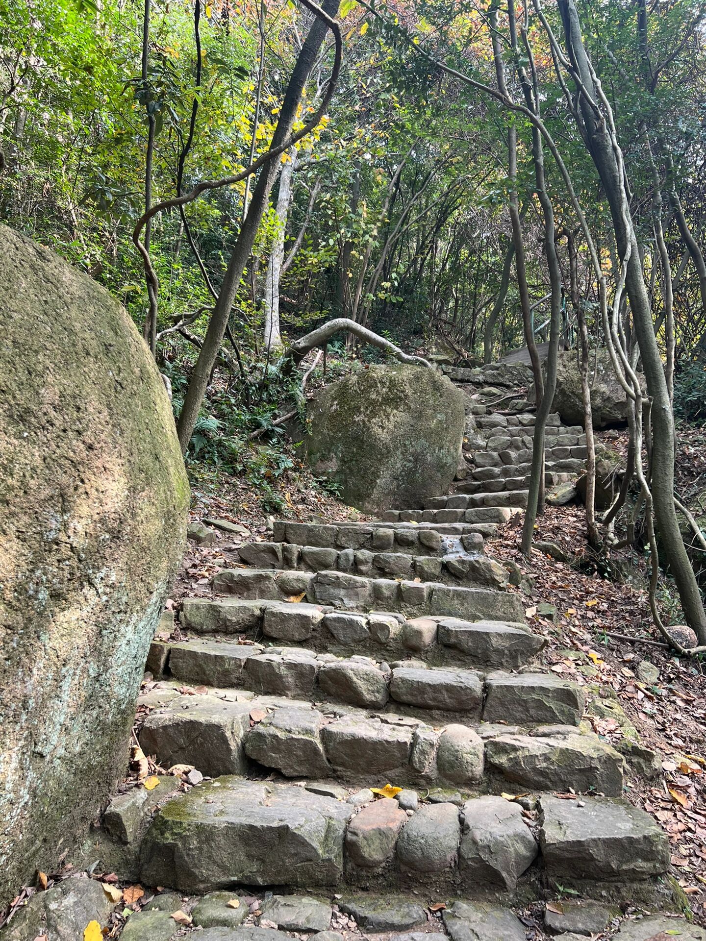 宁波徒步|五磊山藏云溪-倒爬岭古道