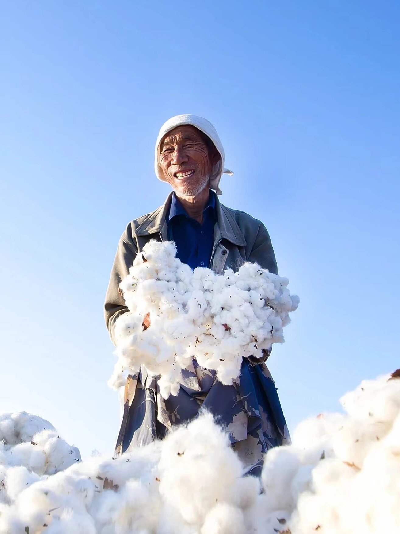 来看看我们的新疆长绒棉种植基地9015