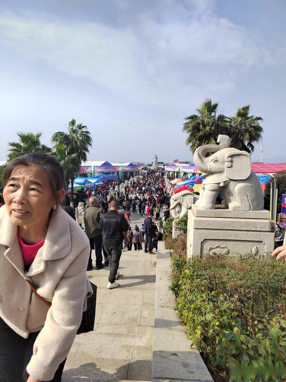 安仁县药王节图片