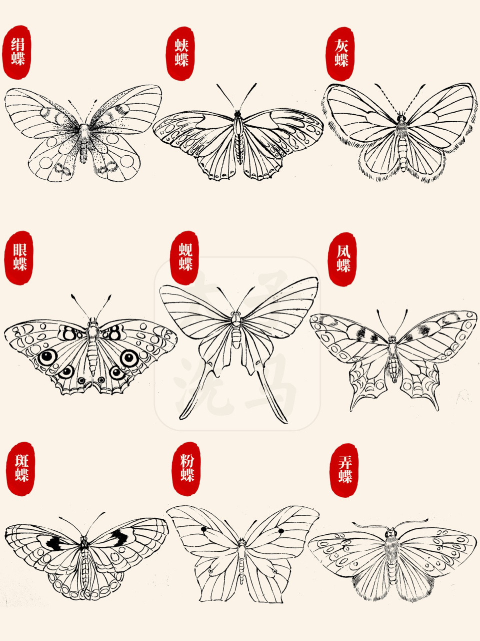98今天分享的是国画白描,线描中蝴蝶的常见9种品类,其中包括绢蝶