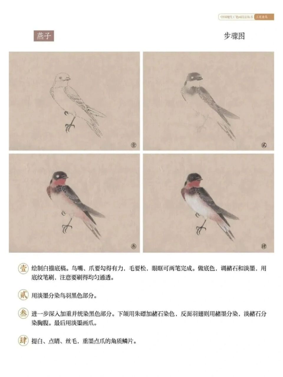 工笔禽鸟技法(五)燕子