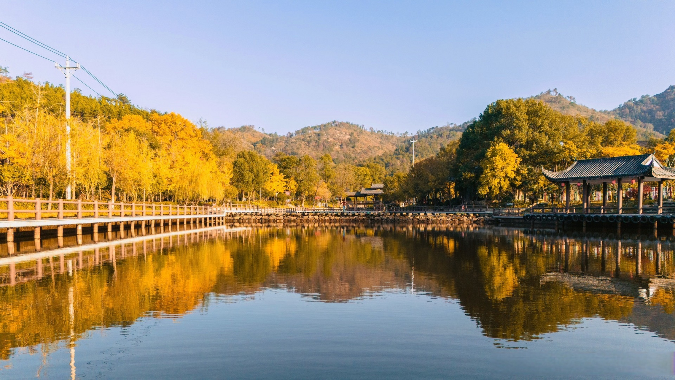 武汉季节限定美景上线#【去黄陂野村谷 拍你的"人生照片"】最近大家