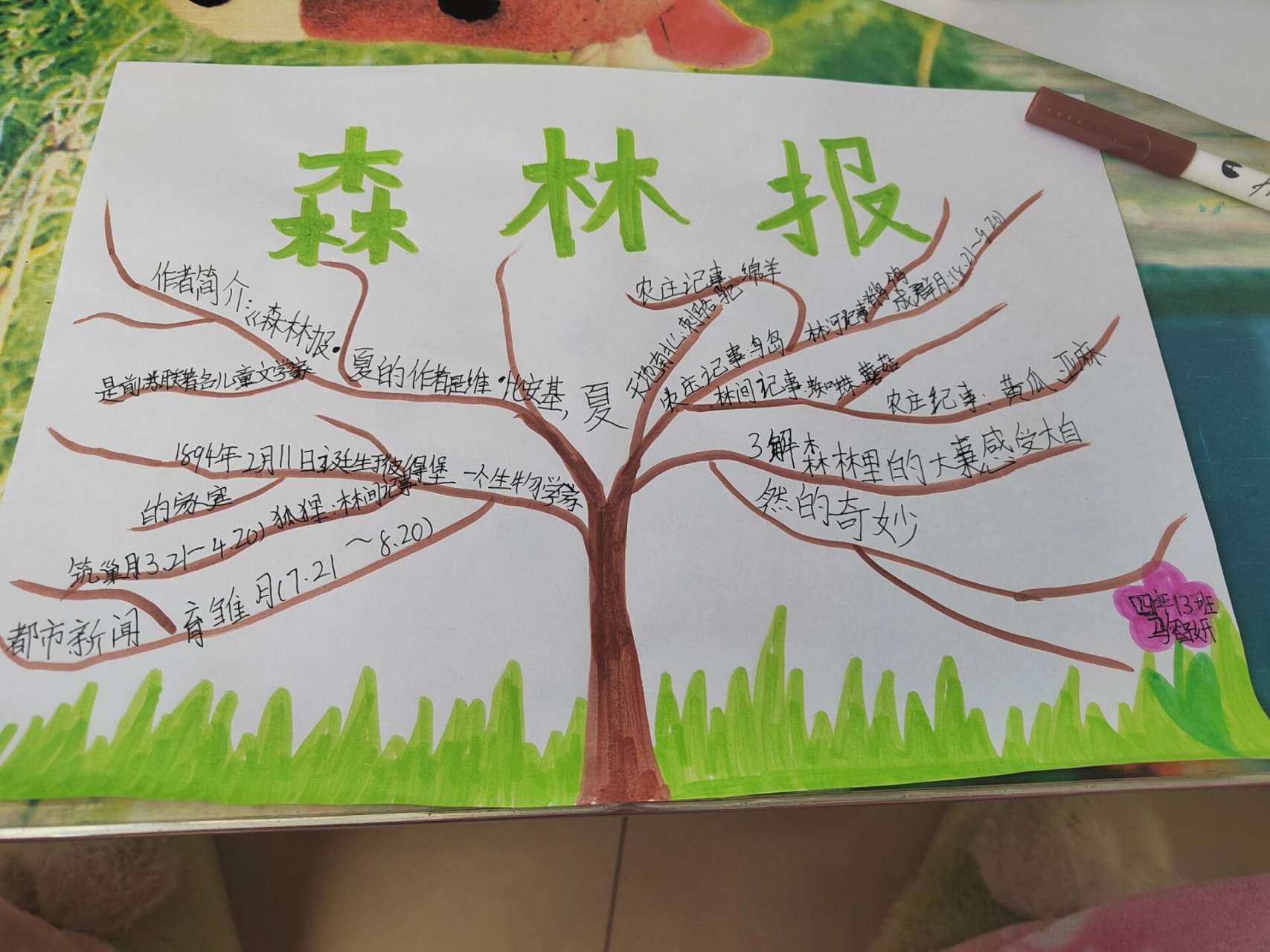 森林报·夏 思维导图
