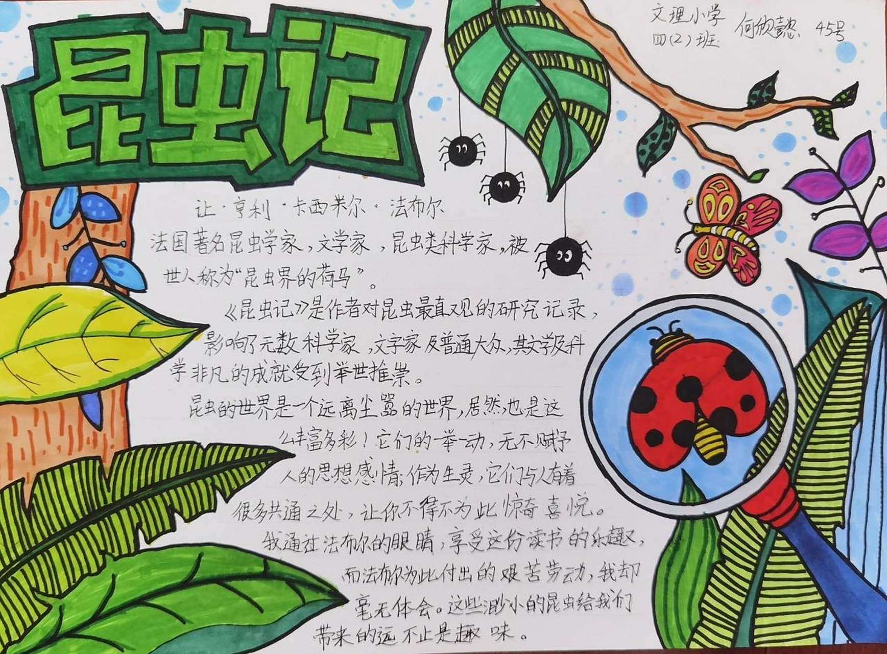 昆虫记小报,手抄报 四年级昆虫记阅读小报