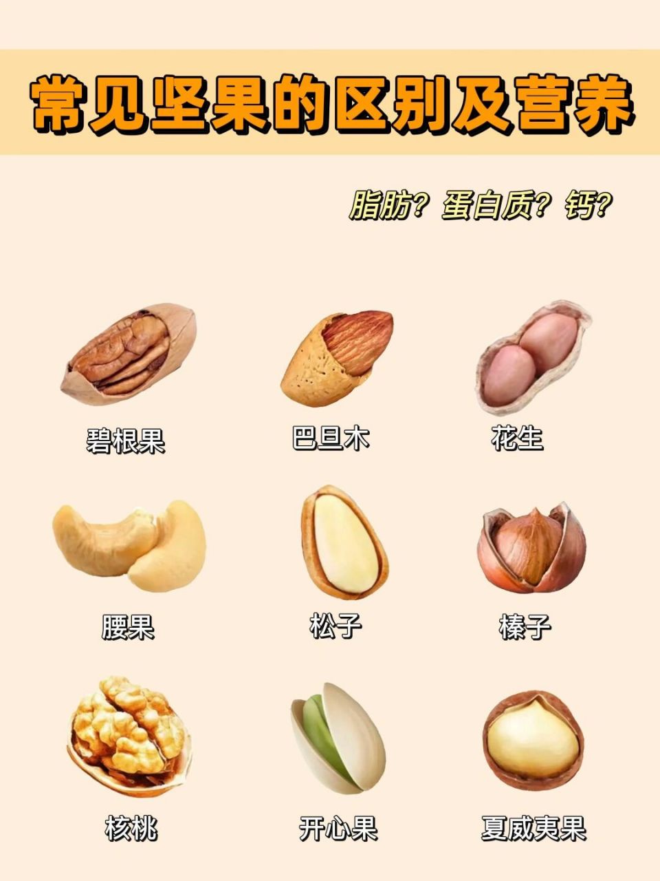 优质脂肪主要是指含多种单不饱和脂肪酸,多不饱和脂肪酸的食物,四能