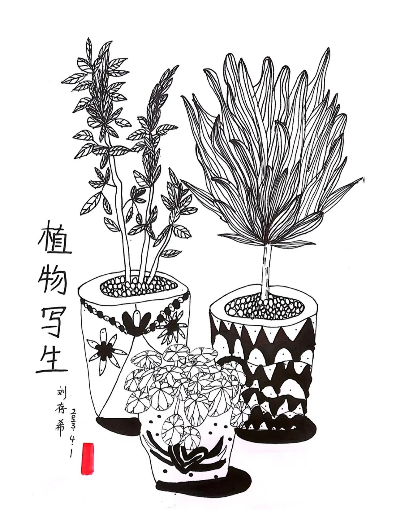 《植物盆栽写生》|| 创意儿童画 通过观察和欣赏盆栽的图片素材,掌握