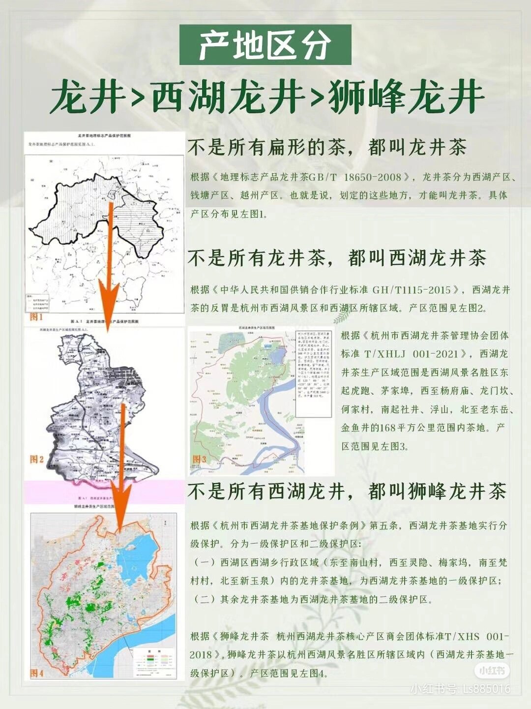 一分钟带你了解西湖龙井的等级之分05