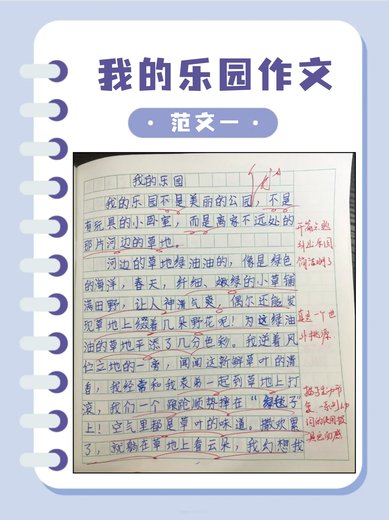 我的乐园作文300字优秀作文