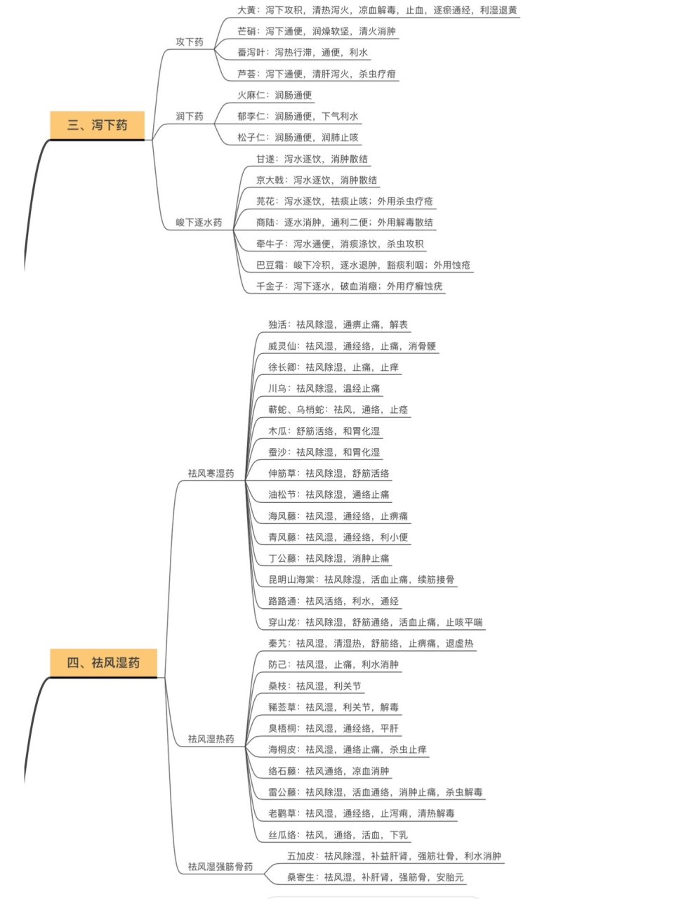药的思维导图简单图片