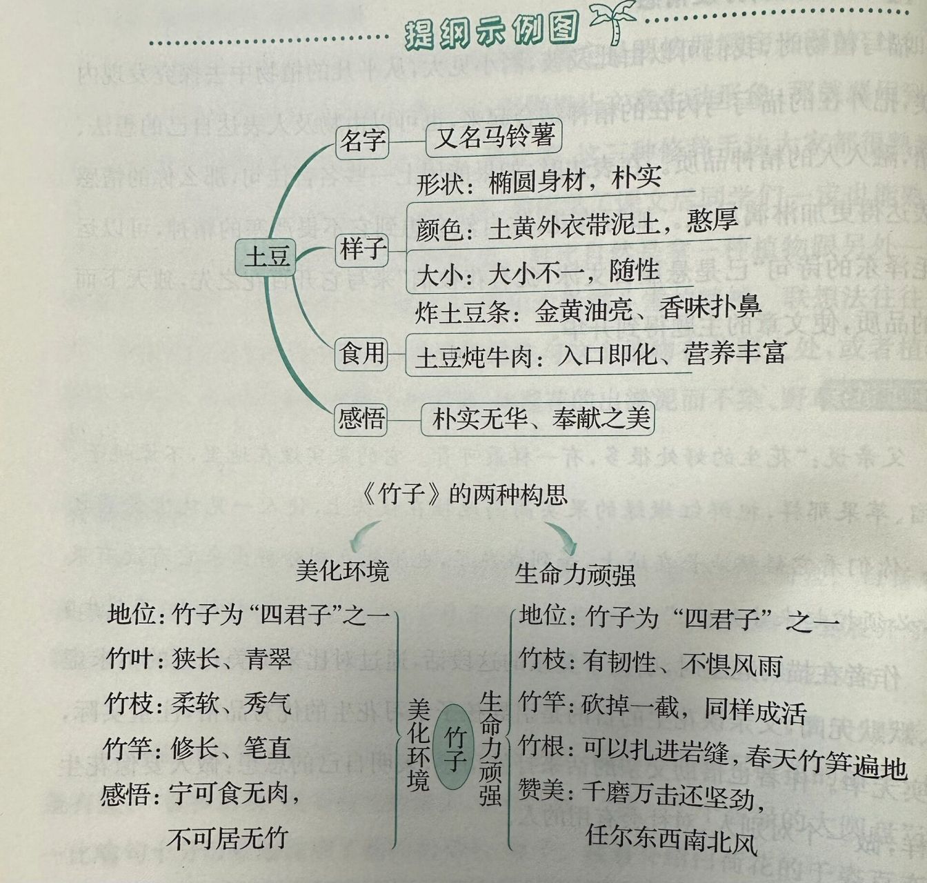 三年级习作一:我的植物朋友 写作构思/提纲
