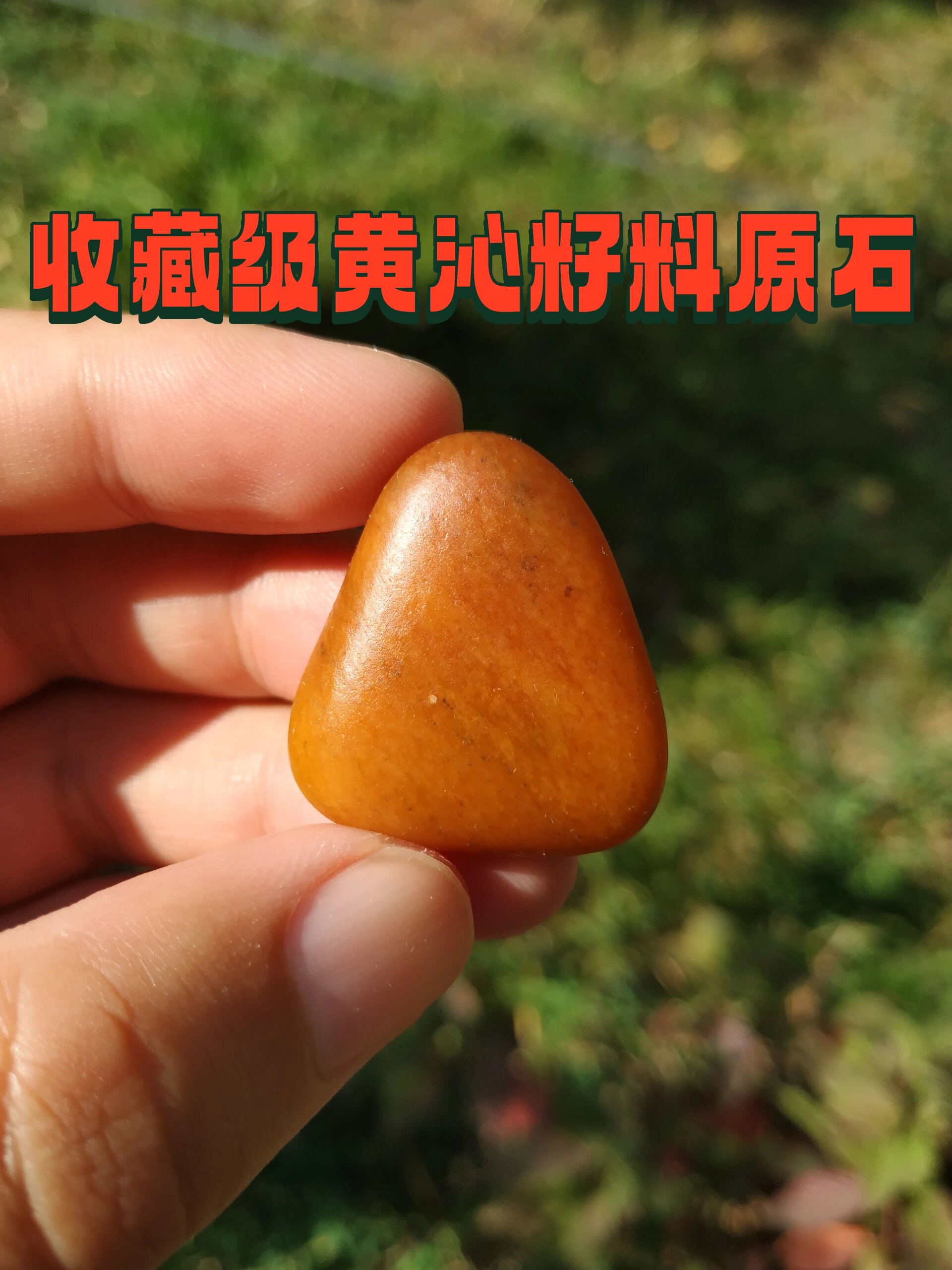 新料子 收藏级黄沁籽料原石