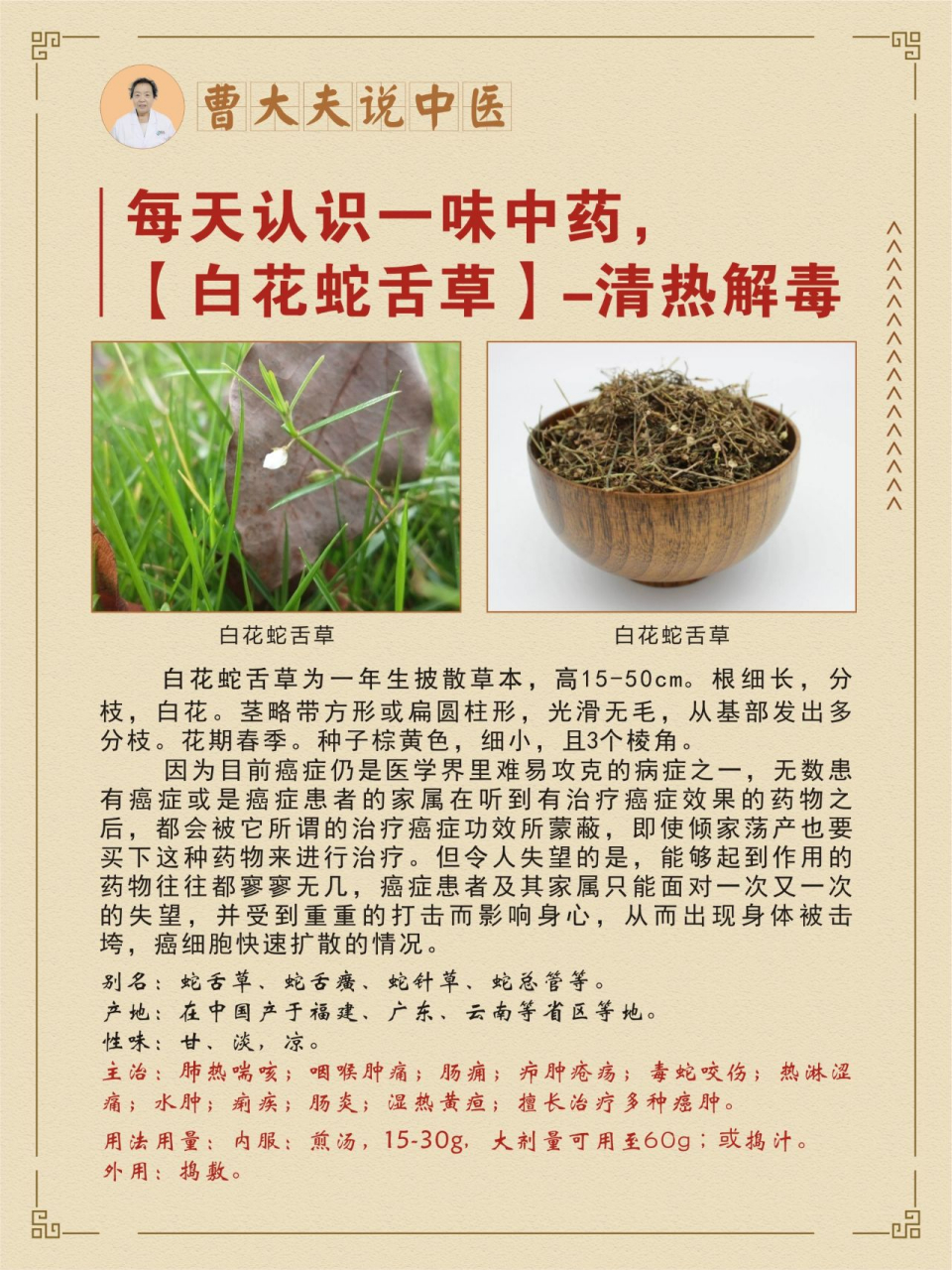 《每日认识一味中药》——『白花蛇舌草』 白花蛇草,即白花蛇舌草