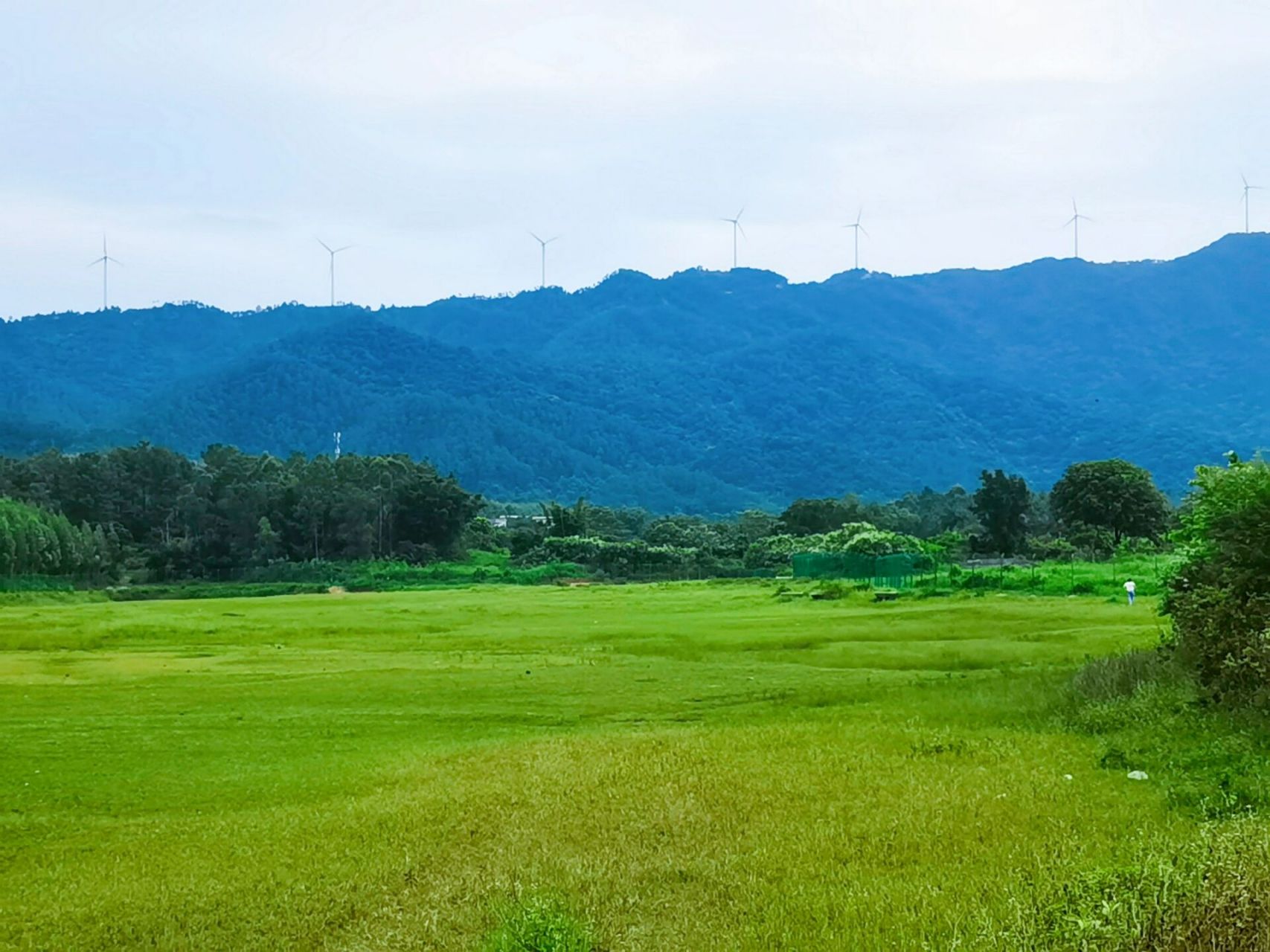 寻皇大草原|台山露营 地址:广东省江门市台山寻皇草原农庄 交通:自驾