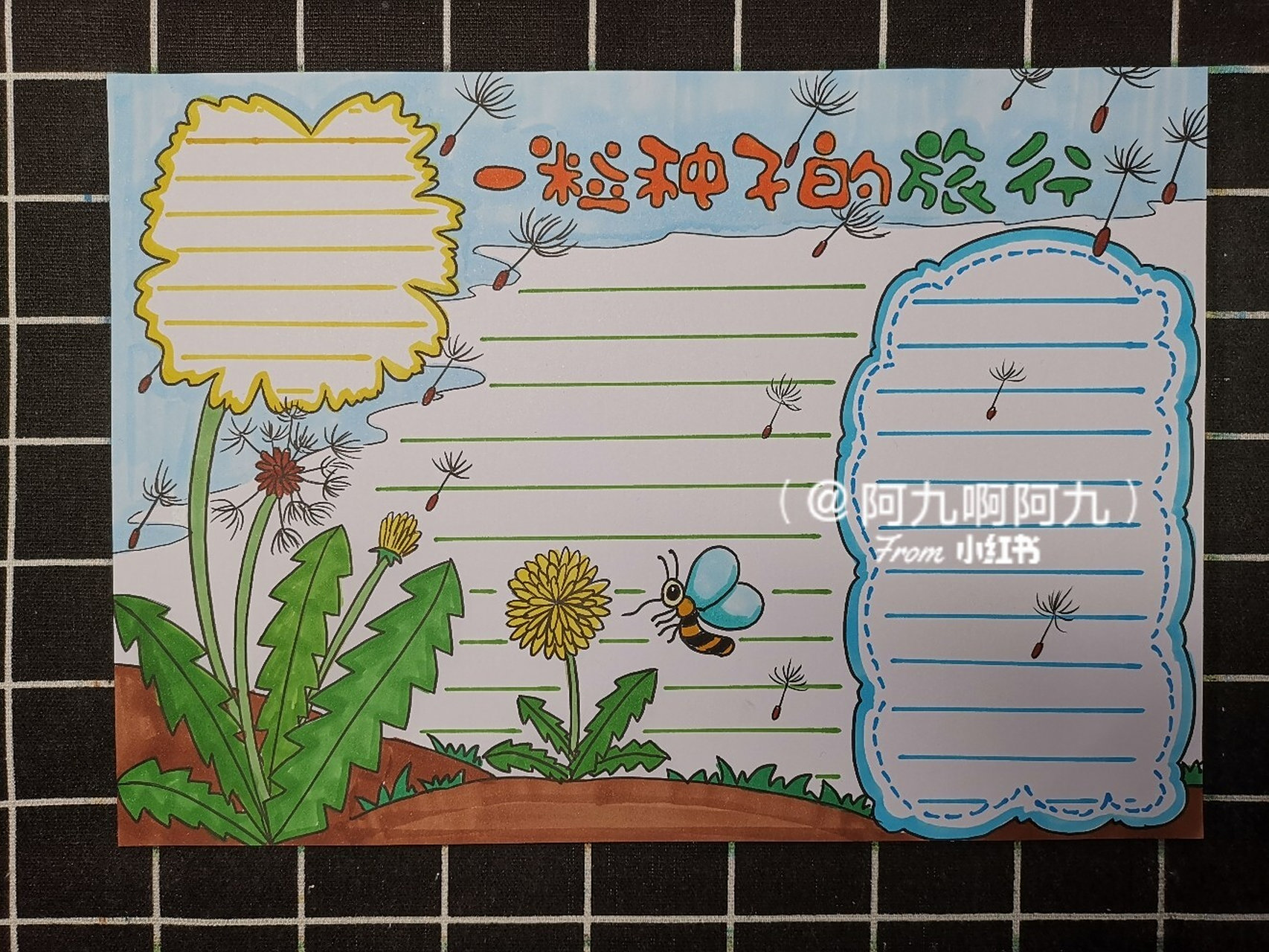 一粒种子的旅行手抄报模板 [偷笑]