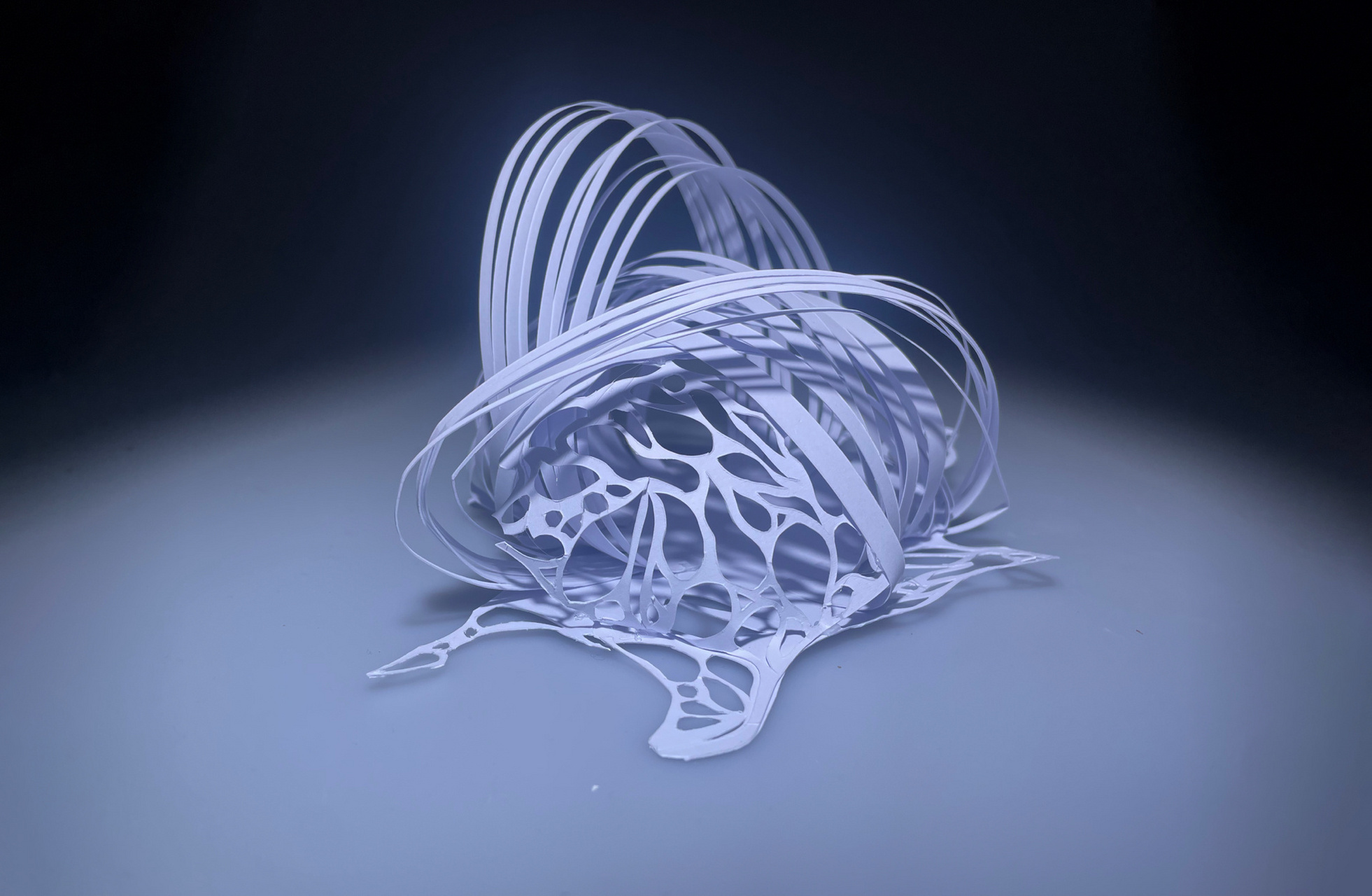 央美大一立体构成作业