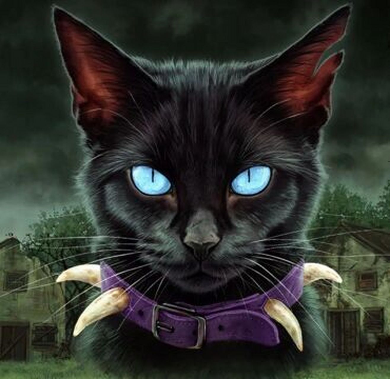 猫武士好图分享 1长鞭 2虎星一世 3鸦羽 4松鼠飞 5叶池 6火星 7蓝星 8