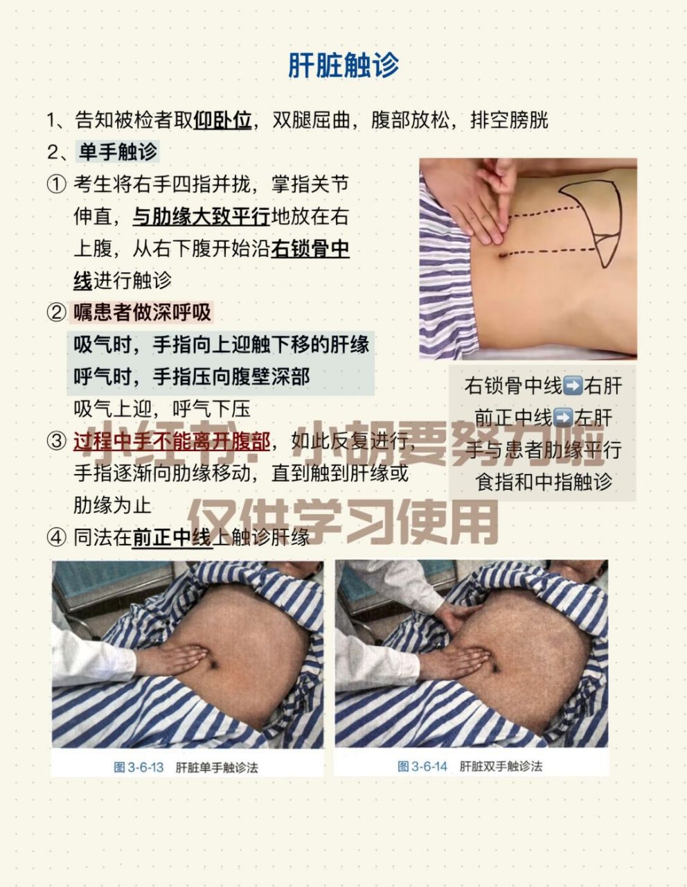 四步触诊法图片