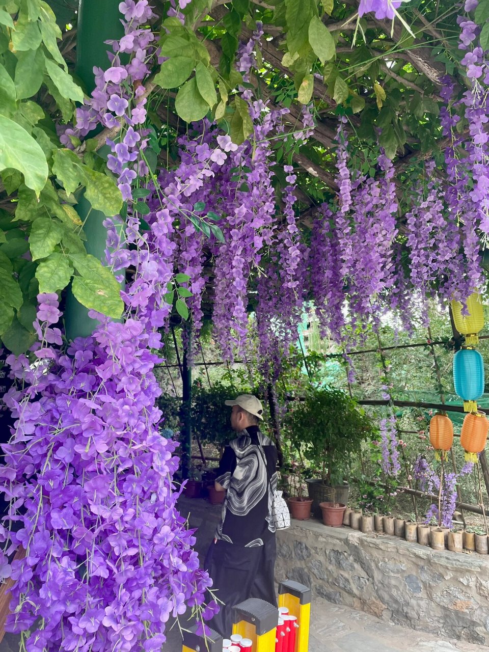 北京 中华民族园北园 门票45 南园就不去了