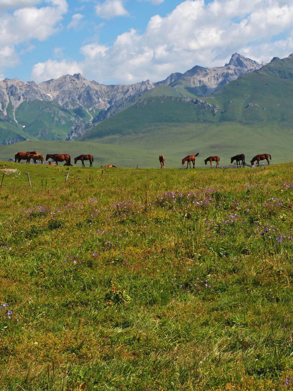 唐布拉仙女湖 | 百里画廊 | 新疆旅游攻略 📍唐布拉百里画廊 	 🚩
