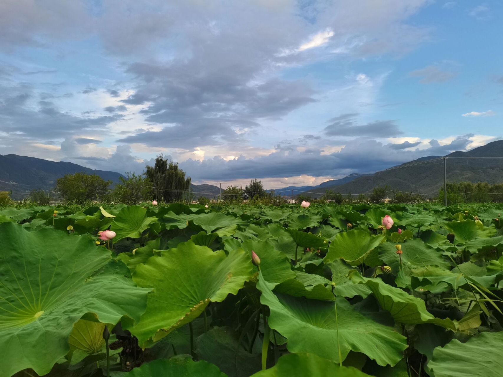 丽江旅游小众景点 | 三川翠湖    91三川翠湖位于丽江市永胜县三川