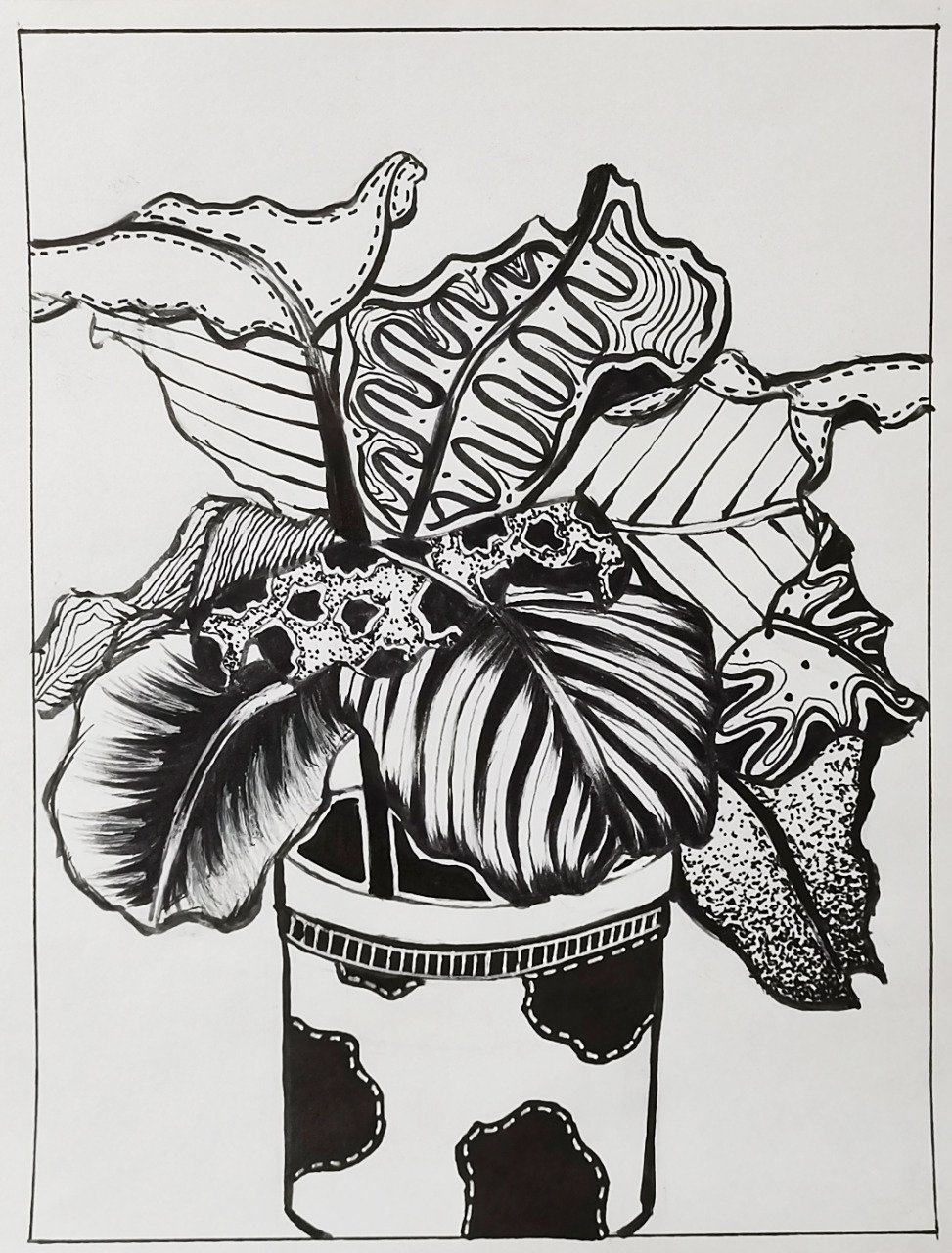 装饰图案 单独纹样「植物」 写生植物装饰图案 单独纹样 原创作品仅供