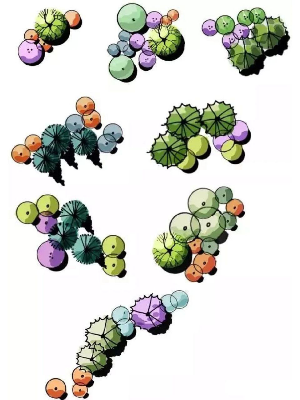 景观植物配置平面图手绘范例参考 来源:未知 侵权必删