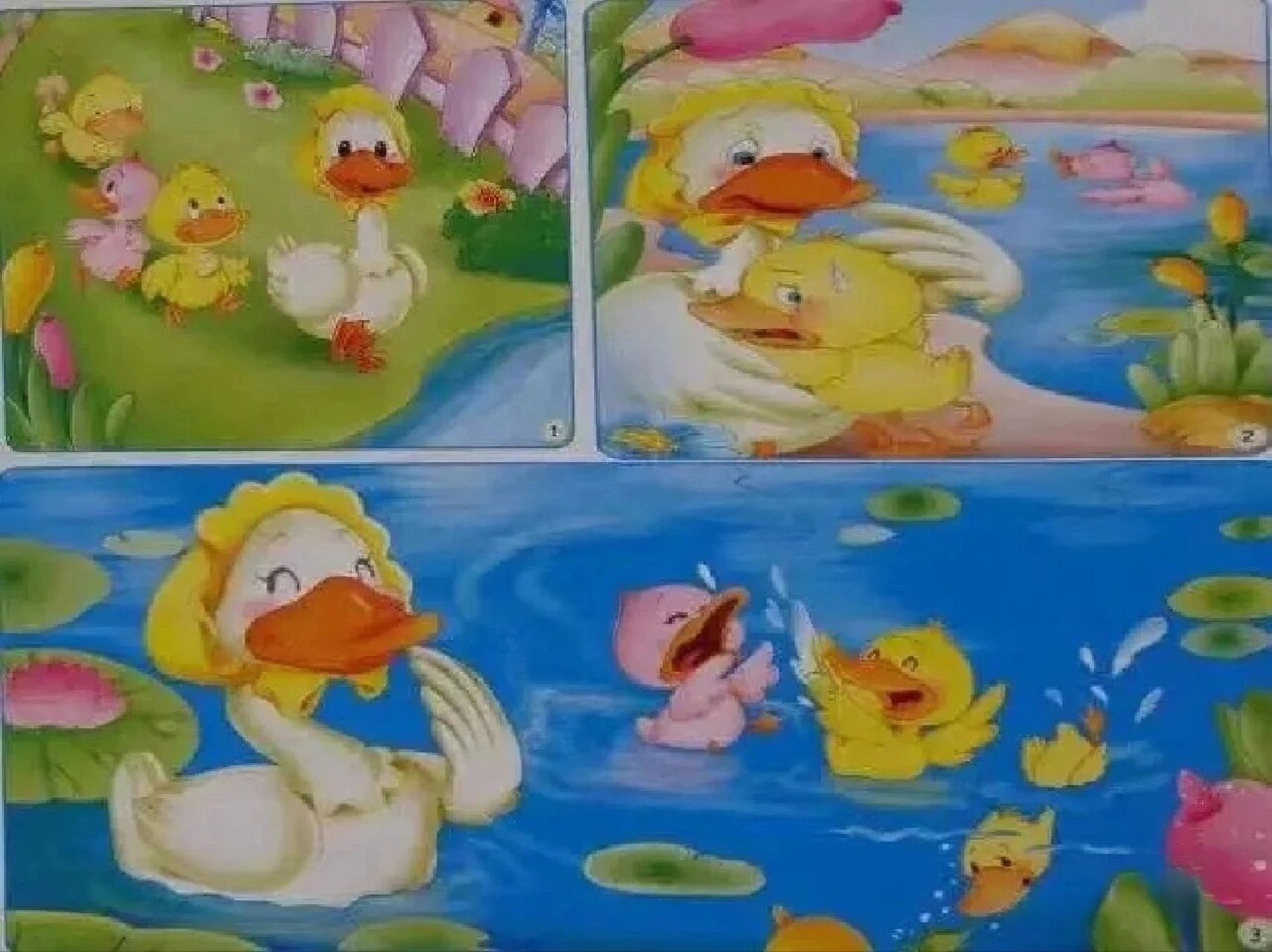 看图写话《小鸭学游泳》