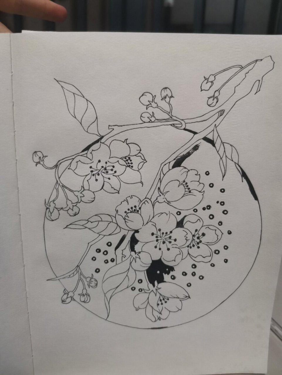 每日一画|桃花手绘黑白画 万花丛中的百花争艳你不一定娇艳,凌寒独自
