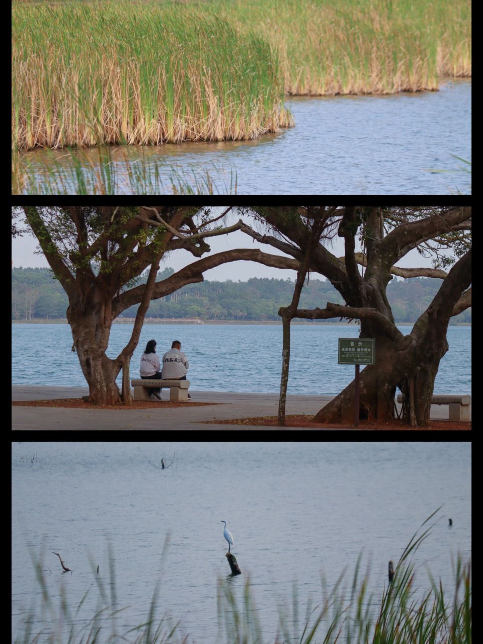 世界上最为典型的玛珥湖是中国广东湛江市湖光岩玛珥湖.