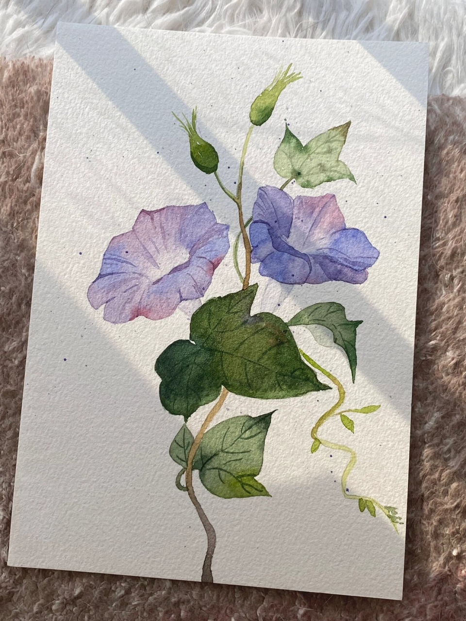 水彩练习 | 牵牛花 附线稿 2022春天画的第二幅花花 希望疫情快(gun)