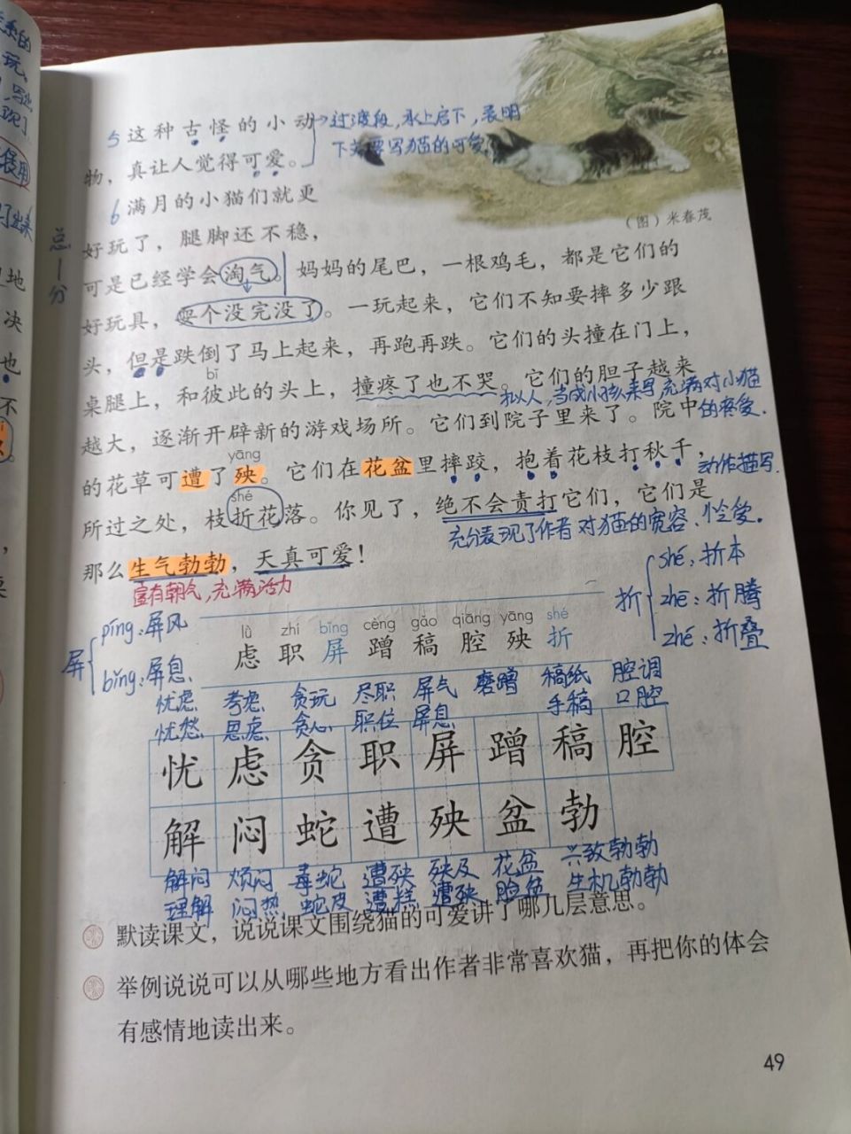 第十三课 猫#四年级语文下册课堂笔记# #四年级语文下册# #四年级下册