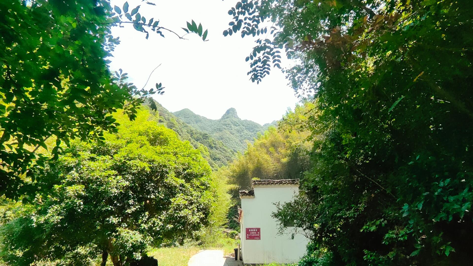 夏日红色登山之旅 凭吊先烈 游泾县蜜蜂洞