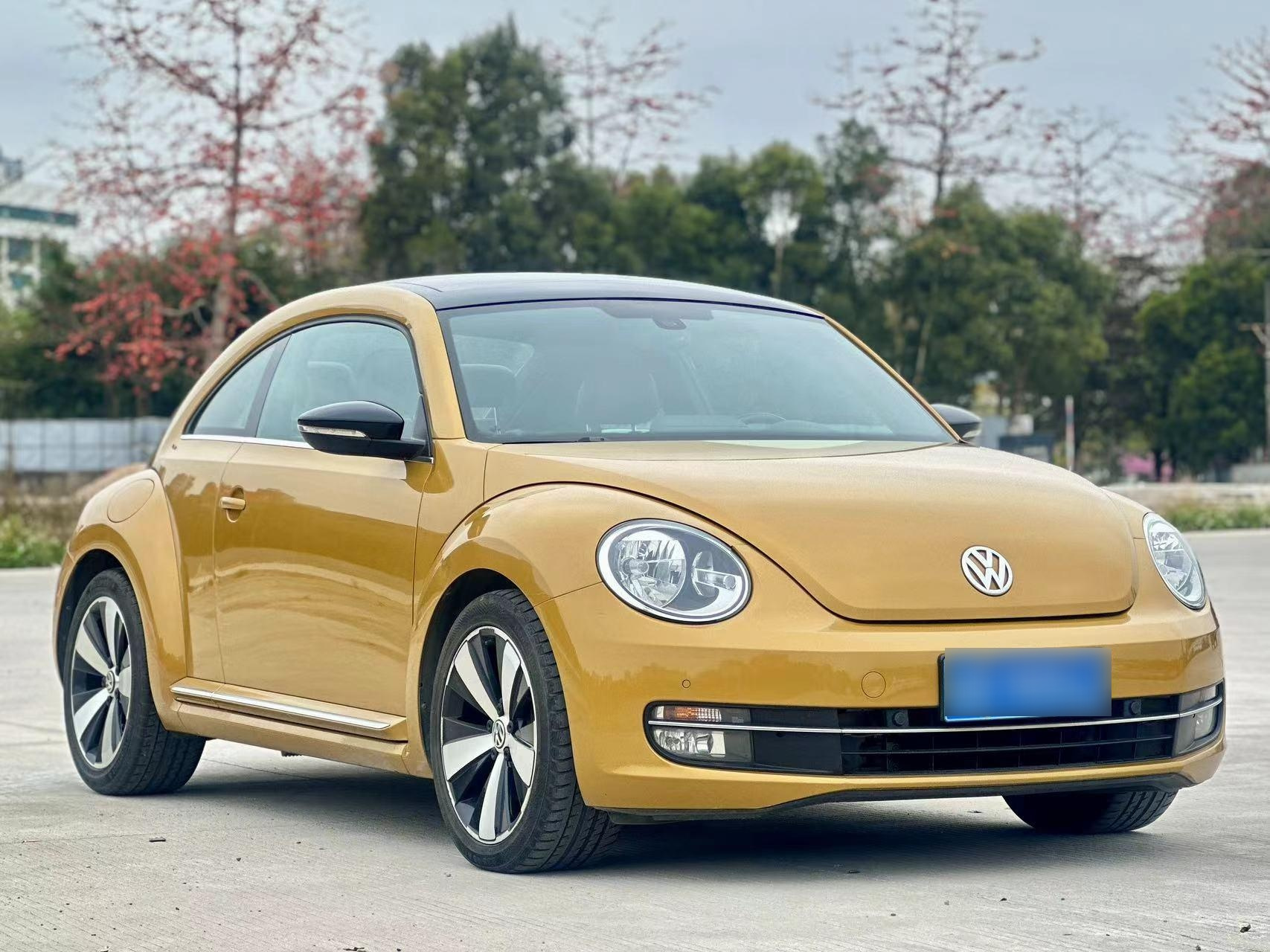 市场稀缺产品 13年7月上牌 大众(进口) 甲壳虫 2.