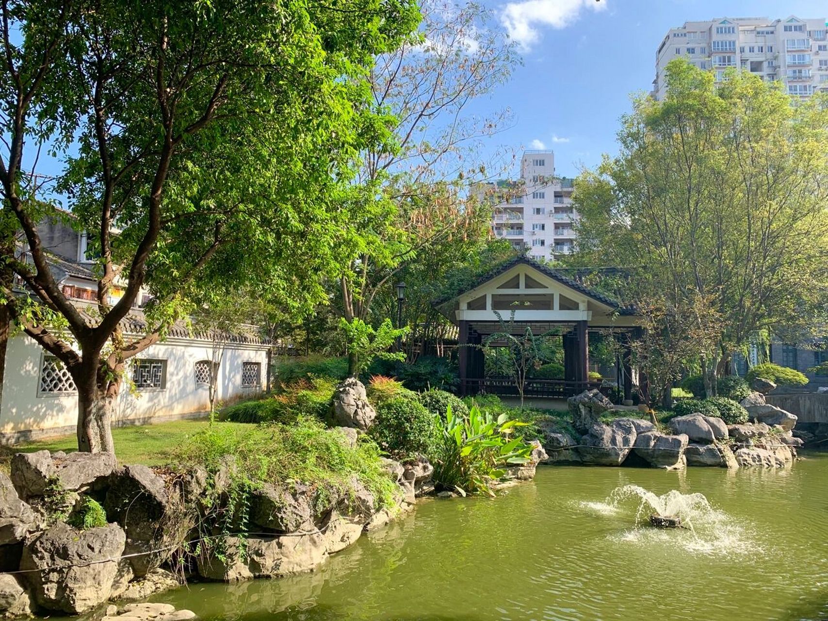 公园日志—墨池公园 在车水马龙的瓦市殿巷菜场后面隐藏着一个小而美