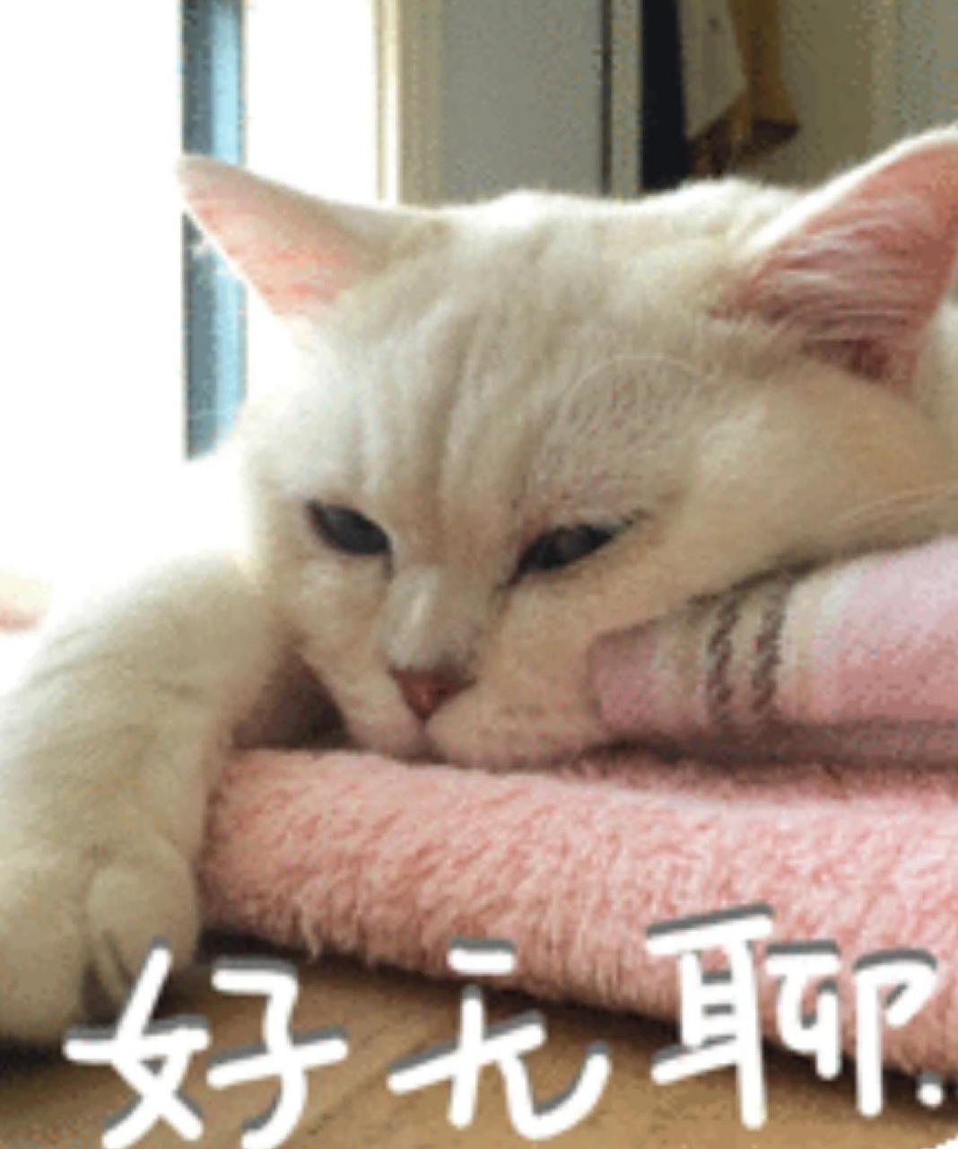 第八期 表情包之"无聊" 无聊到长草 也不写作业(○ω○)