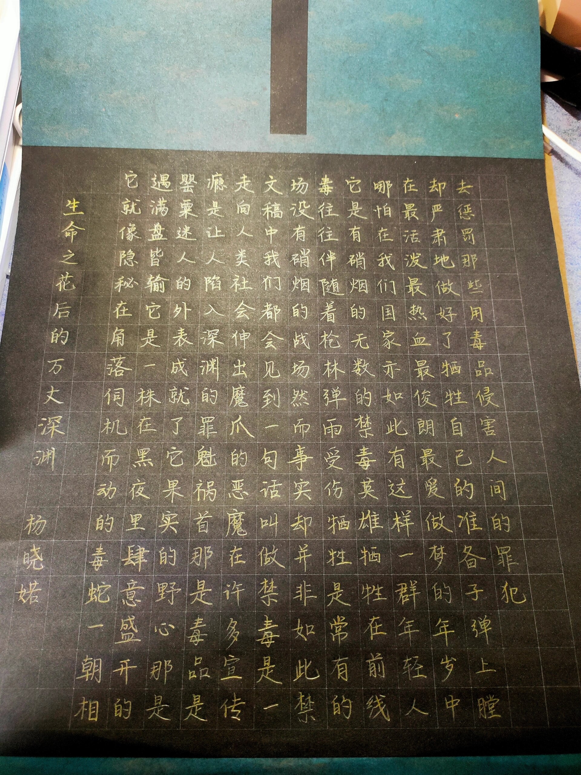 有关"防艾禁毒"的硬笔书法作品