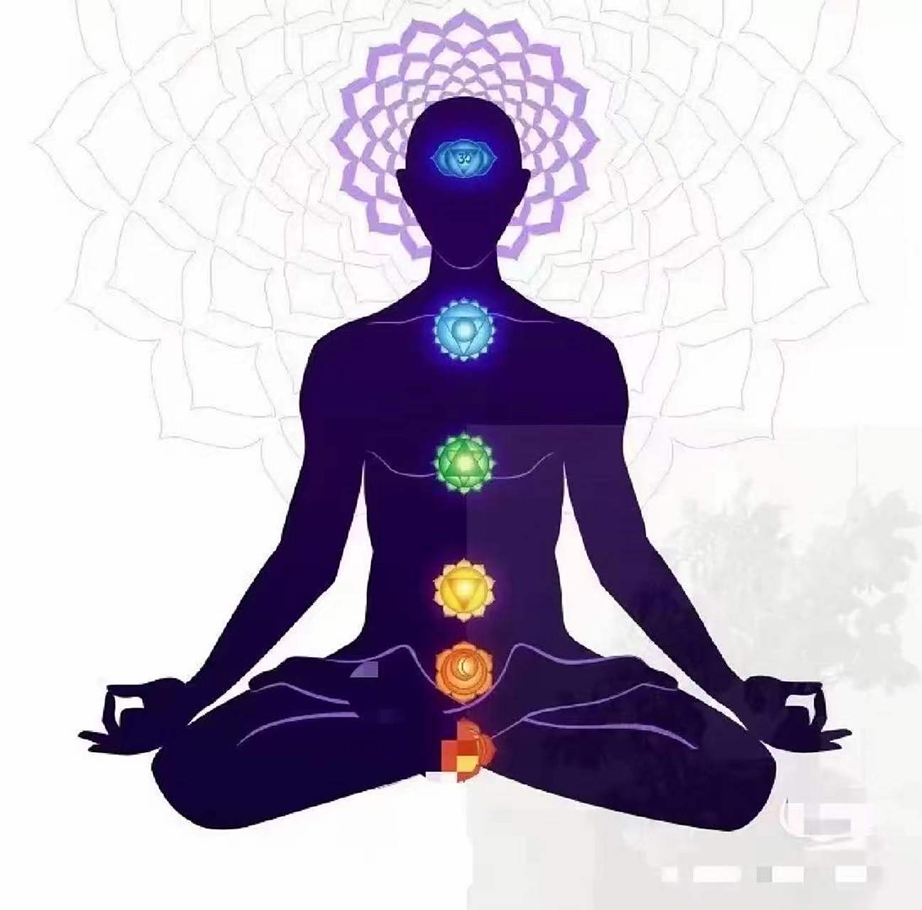 提升能量的三种方法: 天补:晒太阳,看月亮,拥抱自然 地补:登山,游泳