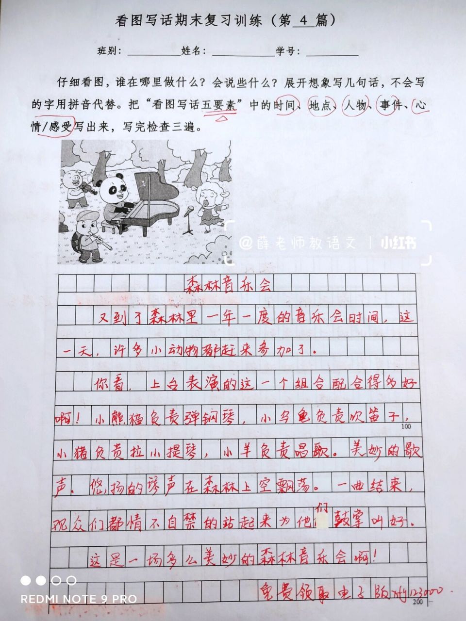 看图写话—森林音乐会