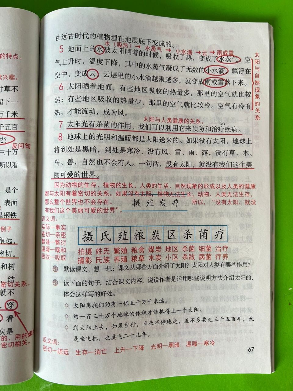 五年级语文上册16太阳超详细课本笔记