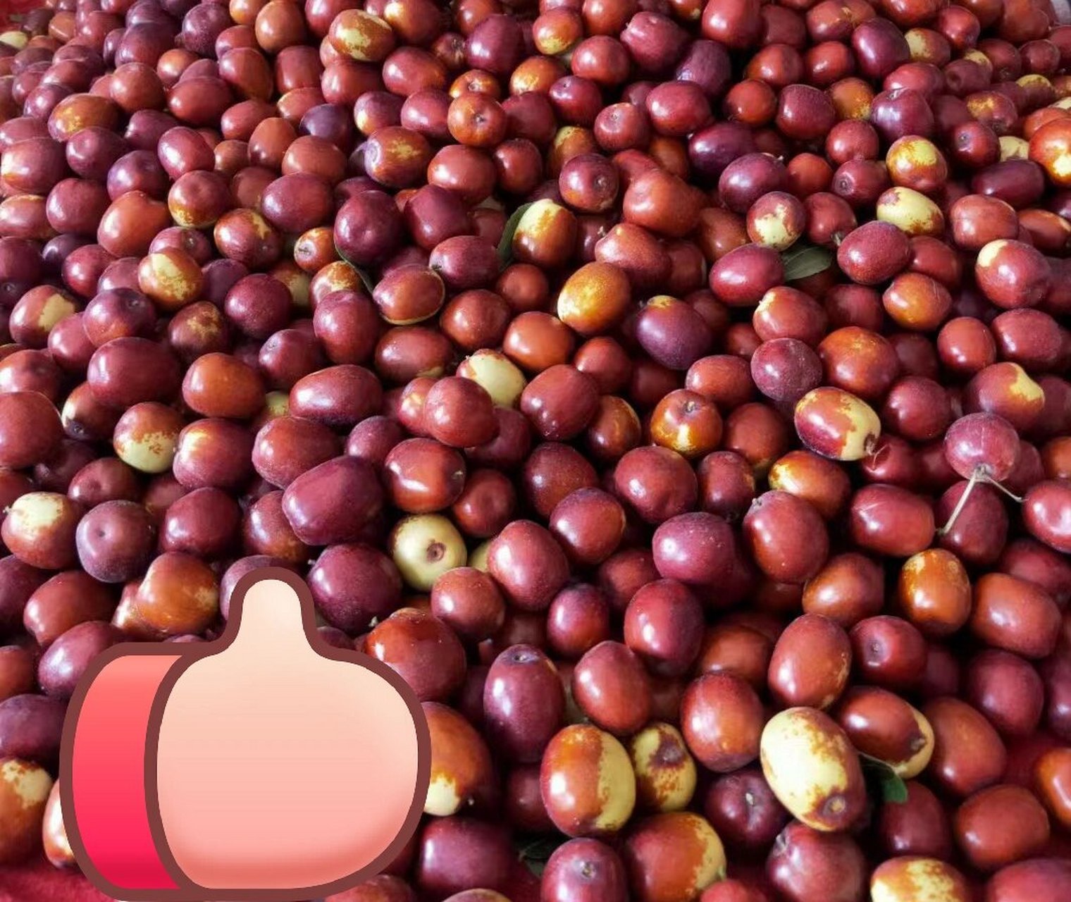 山西特产稷山板枣 自己家种的奥～ 喜欢红枣养生的姐妹们快来 五斤起