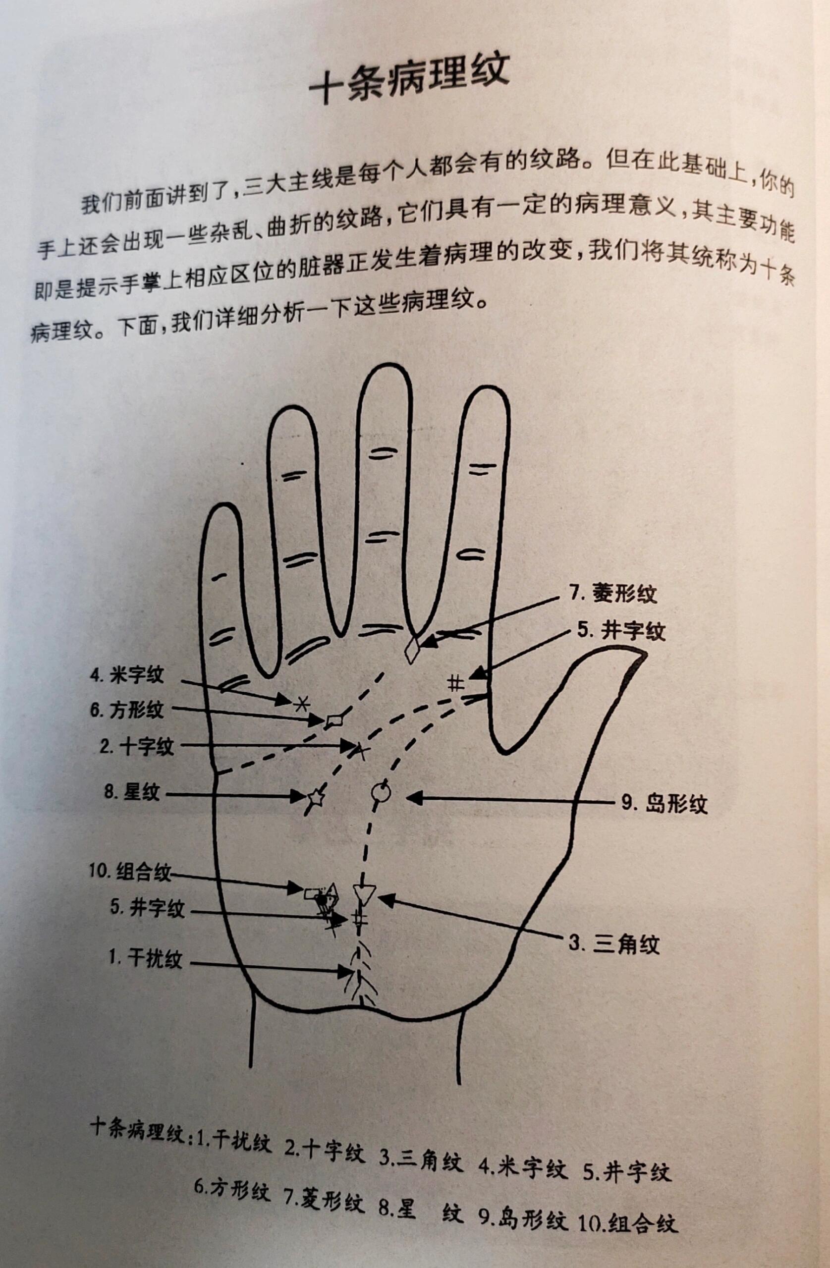 手相学常见各种纹图解图片