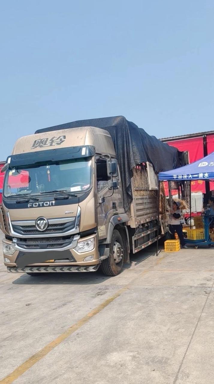 8高栏仓栏式货车,福田奥铃大黄蜂,康明斯发动机,21年挂牌,租金月付