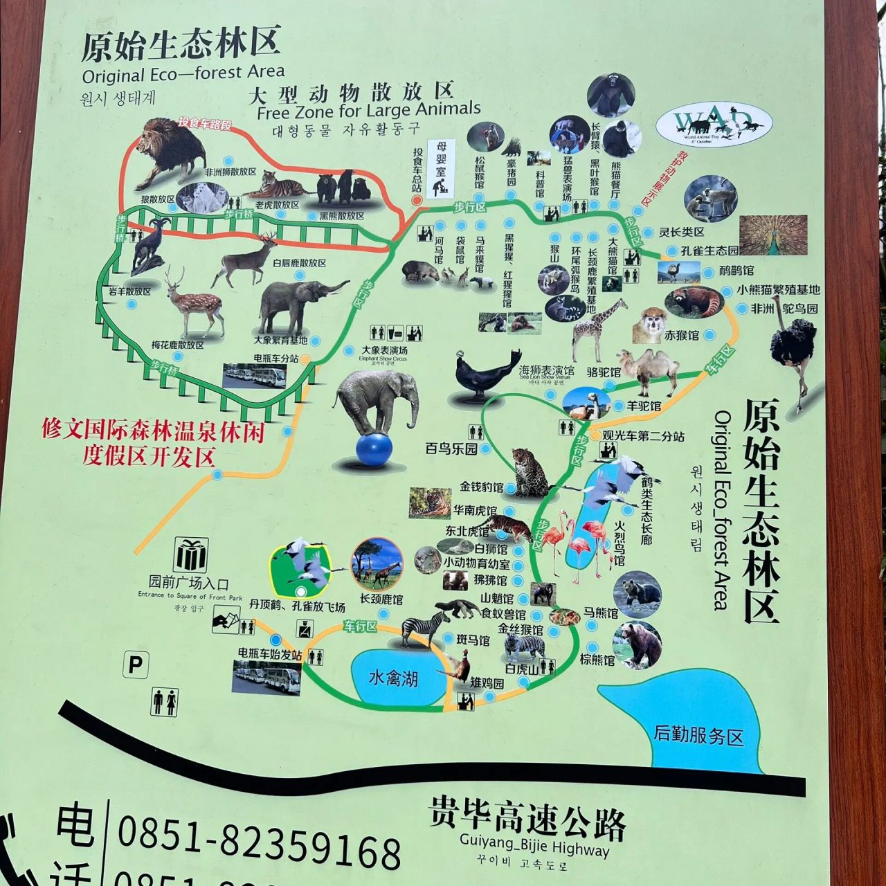 避雷扎佐森林野生动物园 一点也不野生,全是商业,除