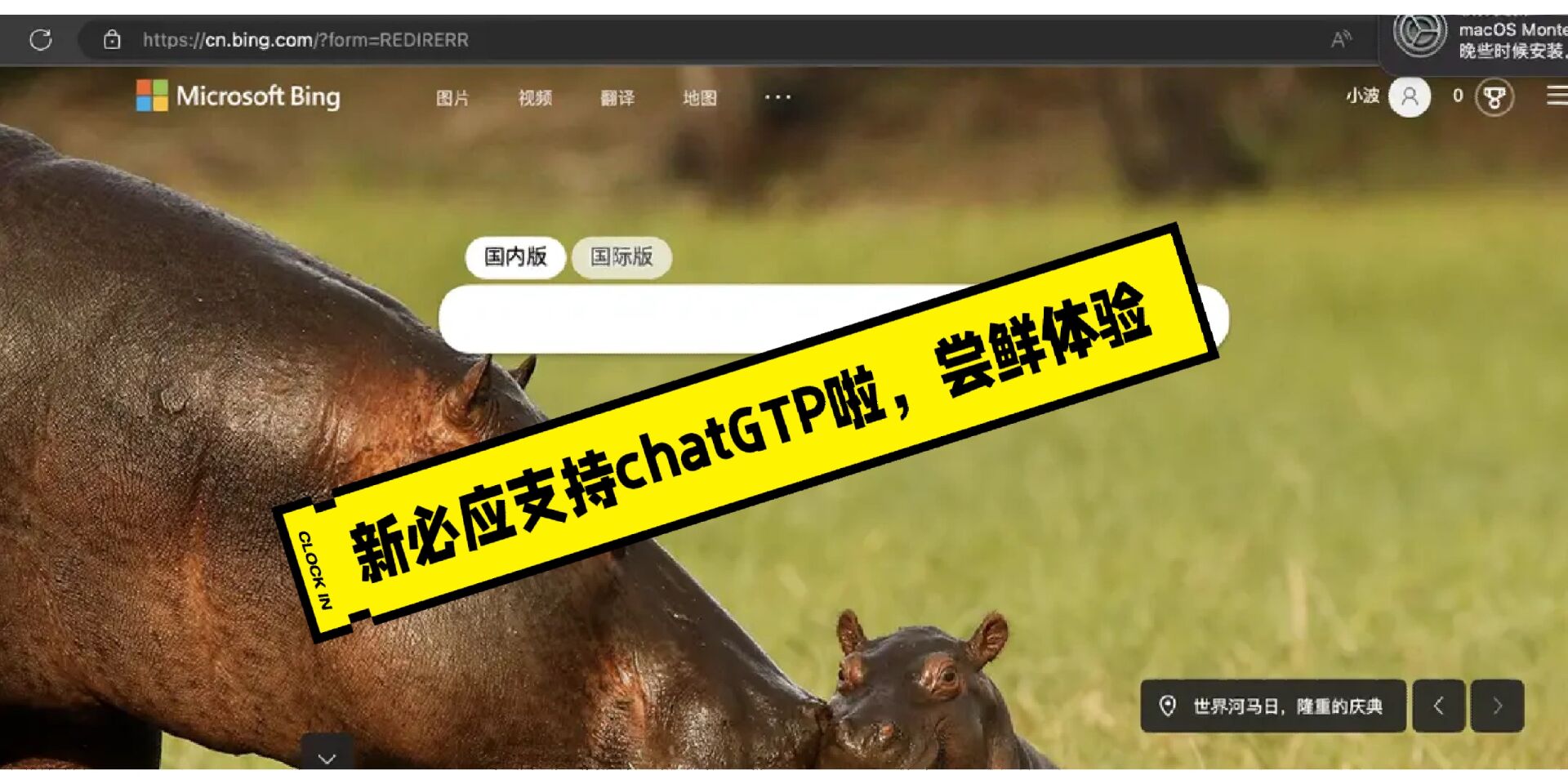 必应bing国际版=必应bing国际版华为可以下载吗