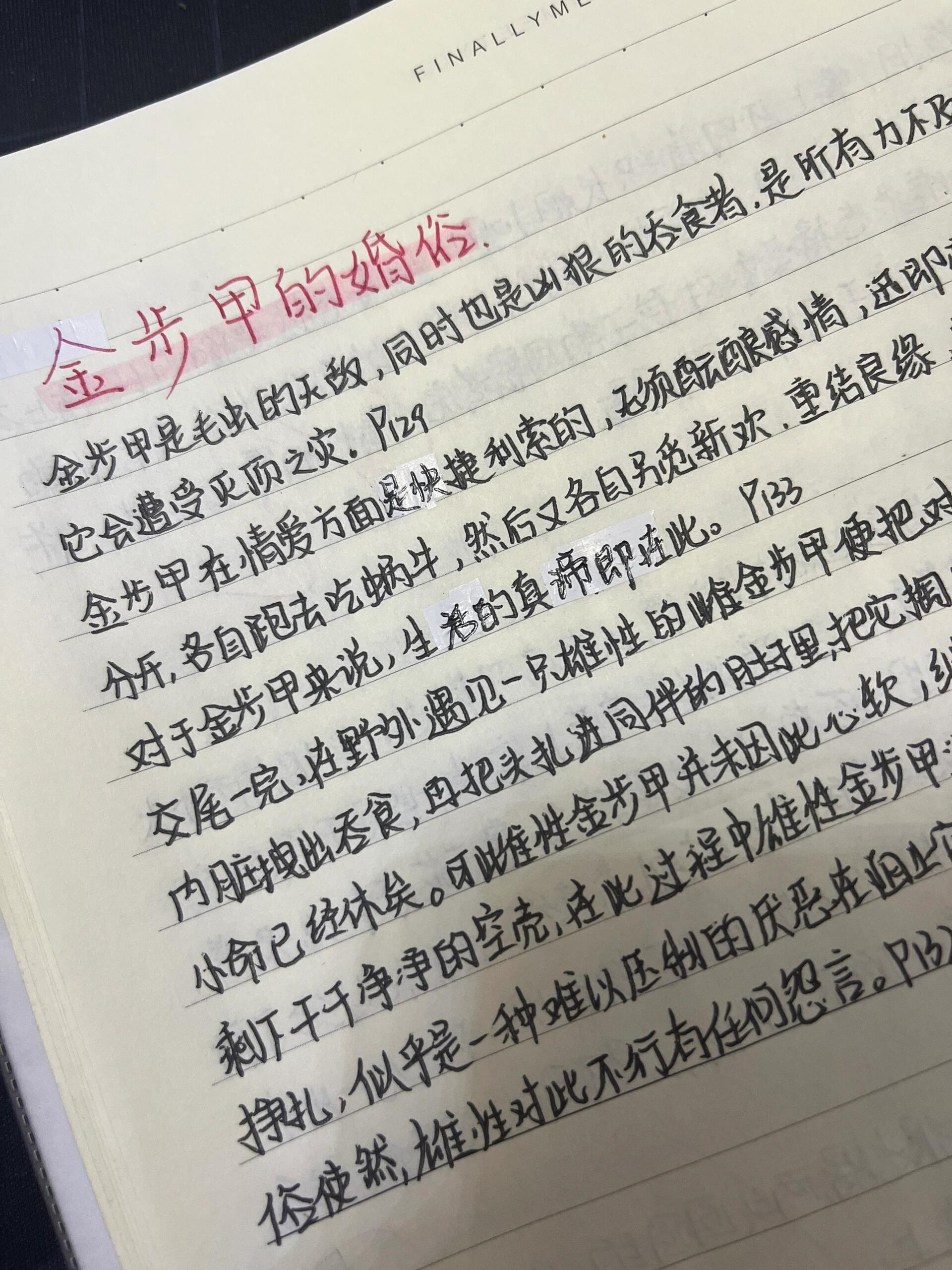 《昆虫记》|99no.15金步甲的婚俗概括